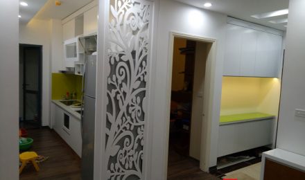 THI CÔNG CHCC 1107T1 - ANH VINH